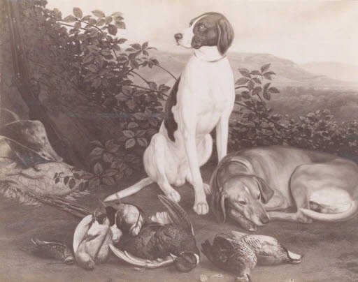 Hunting Dogs with Game