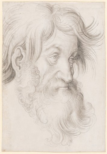 Head of a Bearded Man, Facing Right