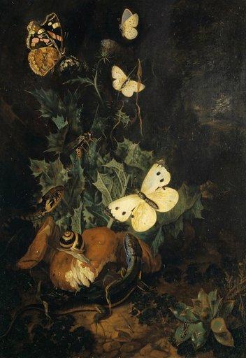 Still Life with Butterflies, Lizard, and Snake