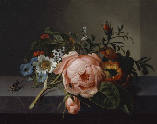 Still Life with a Rose Branch, Beetle, and Bee