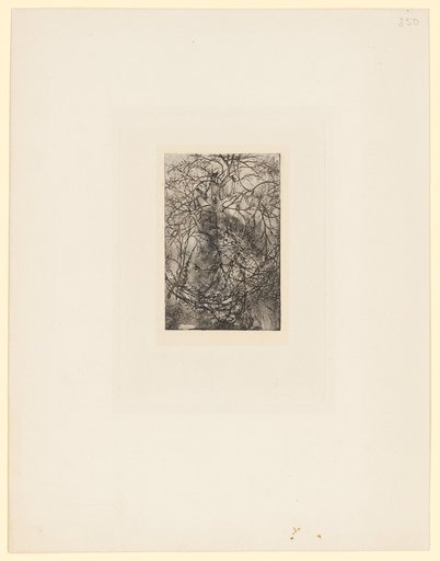 Branchages