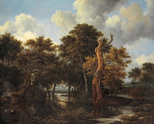 Wooded Marsh Landscape with a Dead Tree
