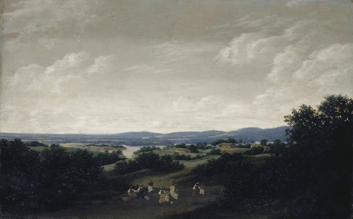 Brazilian Landscape