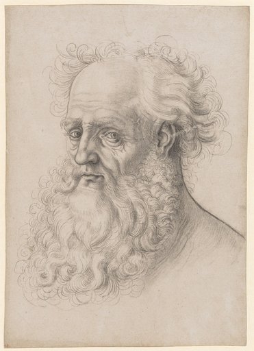 Head of a Bearded Man, Looking to the Left