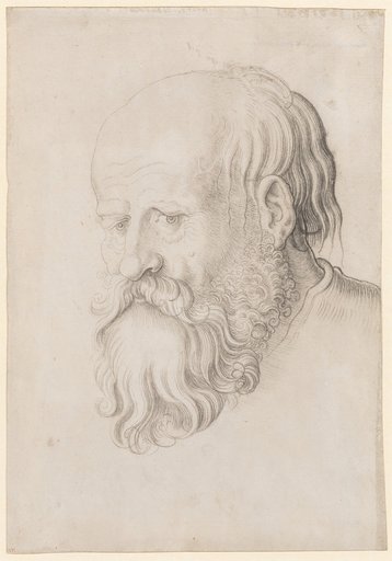 Head of a Bearded Man, Looking to the Left