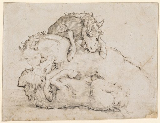 Three Fighting Wild Horses