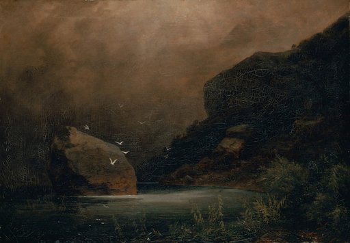 Mountain Lake with Gulls