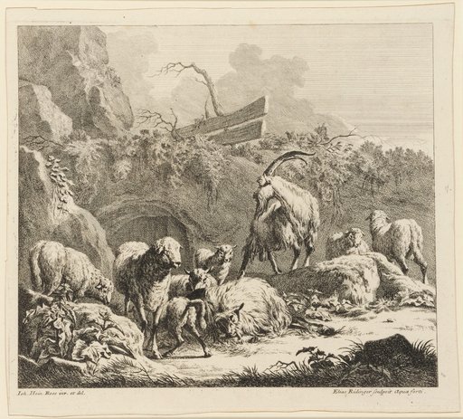 Goats, Sheep, and Lambs