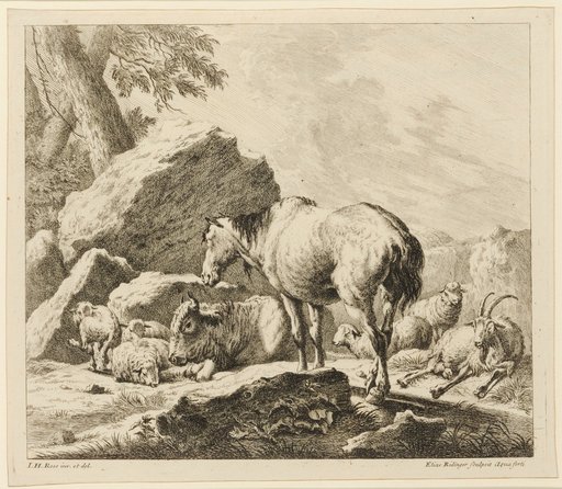 Grey Horse and Cow with Recumbent Goats and Sheep
