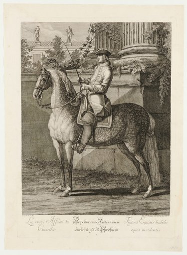 The Posture of a Rider, How He Should Sit Gracefully and Well on Horseback