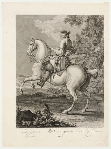 The Gallop Straight Ahead to the Left
