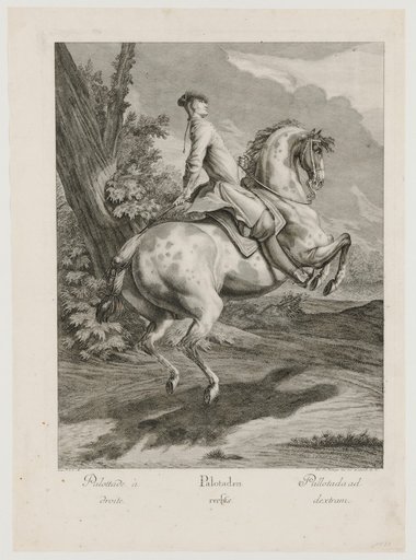 Palotades to the Right