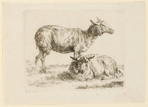 Standing and Recumbent Sheep
