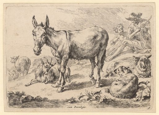 Donkey