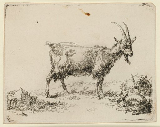 Goat with Two Kids