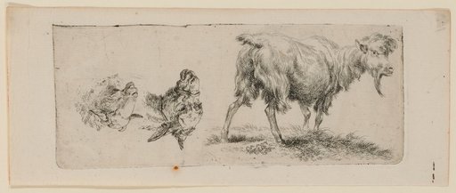 Study Sheet with Standing Goat on the Left and a Donkey and Sheep Head on the Right (Upside Down)