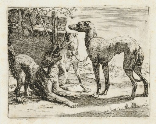 Three Dogs in Front of a Fence Section