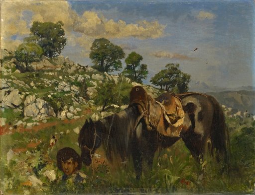 Rider in High Grass