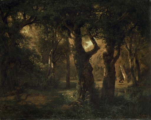 Interior of a Forest