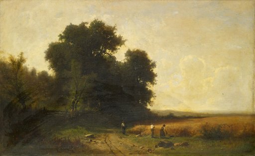 Harvest at the Edge of a Forest