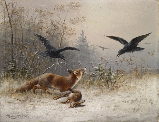 Fox Hunting Hares in Winter