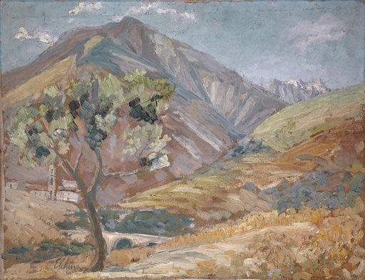 Olive Tree in the Corsican Mountains