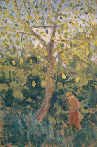 Tree with Yellowish Autumn Foliage