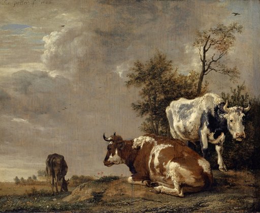 Three Cattle on the Pasture
