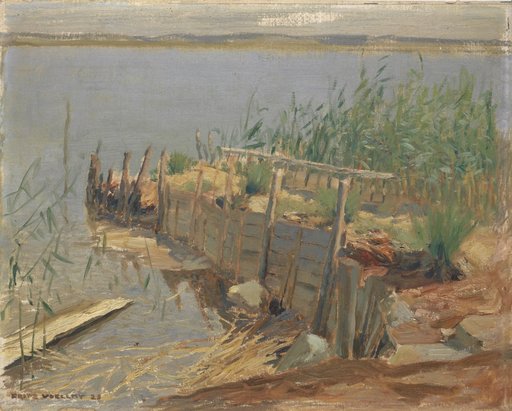 Shore Study at Lake Constance