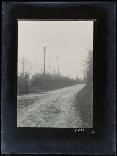Electricity pylons along a country road