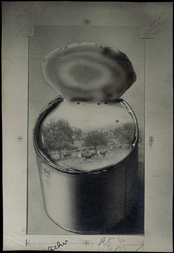 Condensed milk tin, with a view of a cow pasture through the opening