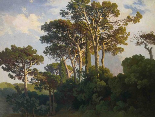 Pines at the Villa Borghese