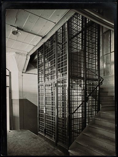 Staircase with a caged elevator shaft