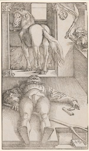 The bewitched stable boy