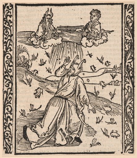 On God's Plague and Punishment