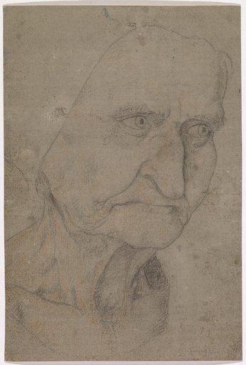 Head of an Old Woman
