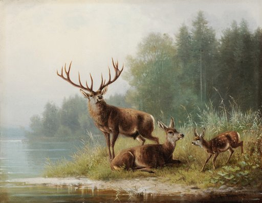 Deer by the Lake