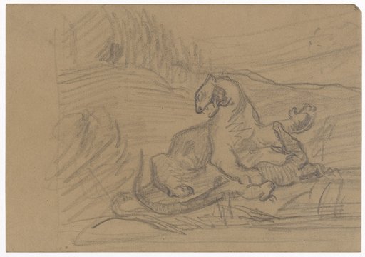 Wild Beast and Crocodile