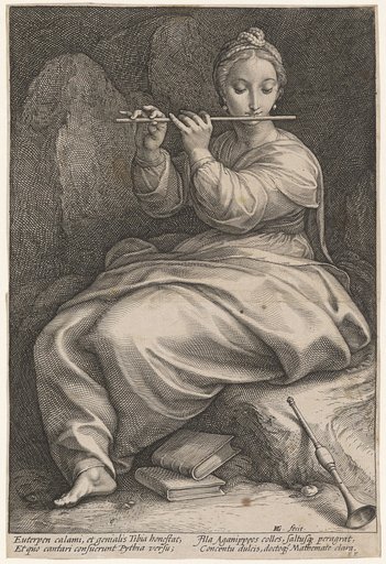 Euterpe