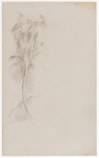 Tree Study