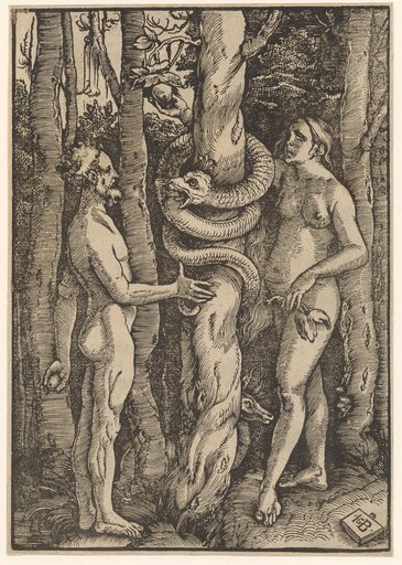 The Fall of Man