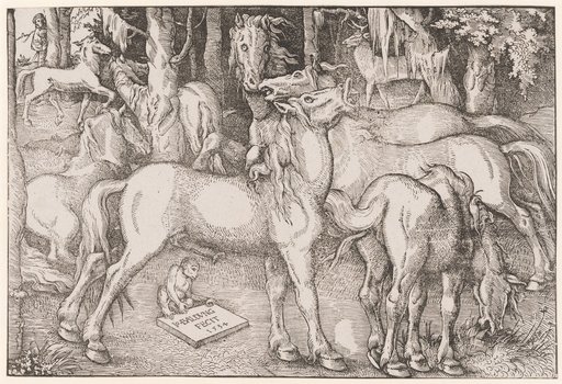 Stallion and Mare in Heat