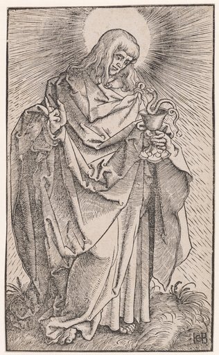 The Apostle John