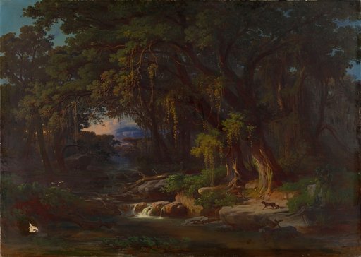 Forest landscape in the Roman mountains