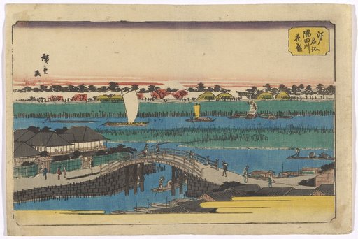 The Peak of Cherry Blossom Season at the Sumida River (Sumidagawa)