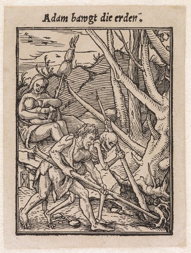 Adam Cultivates the Earth