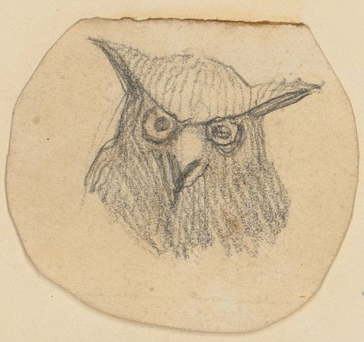 Head and Shoulder Piece of a Great Horned Owl