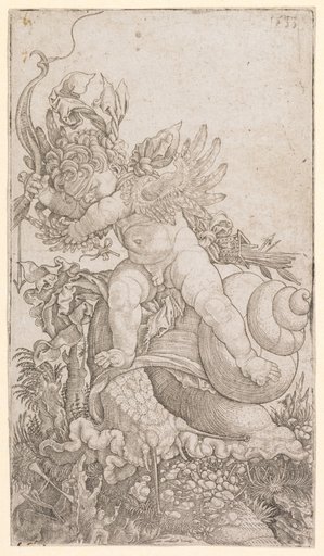 The Angry Cupid on the Snail