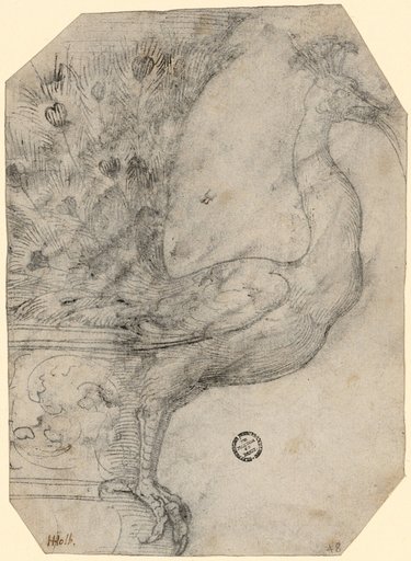 Spout of a Vessel in the Form of a Peacock Striking with its Wheel