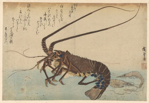 Lobster and Shrimp